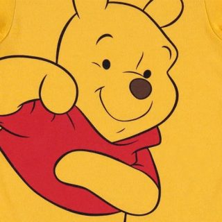 Winnie-the-Pooh